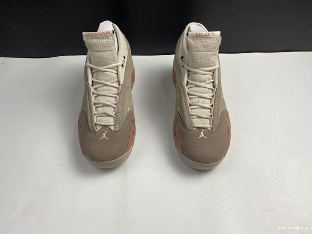 Rep Low Clot AIR Jordan Blush DC9857-200 14 Retro Terra 0715